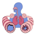 Physiologie